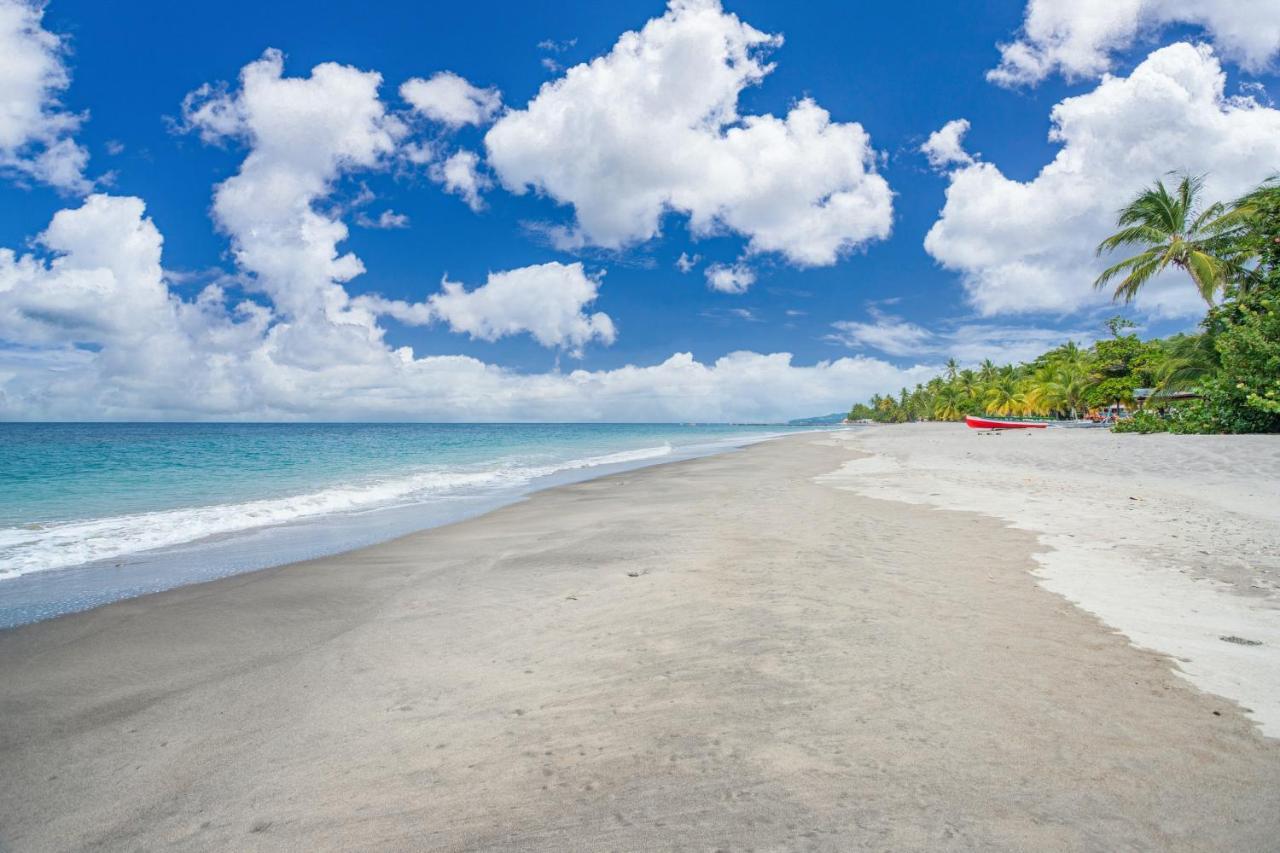 Appartement Charmant Au Carbet Avec Vue Sur La Mer 50 M² Le Carbet Buitenkant foto